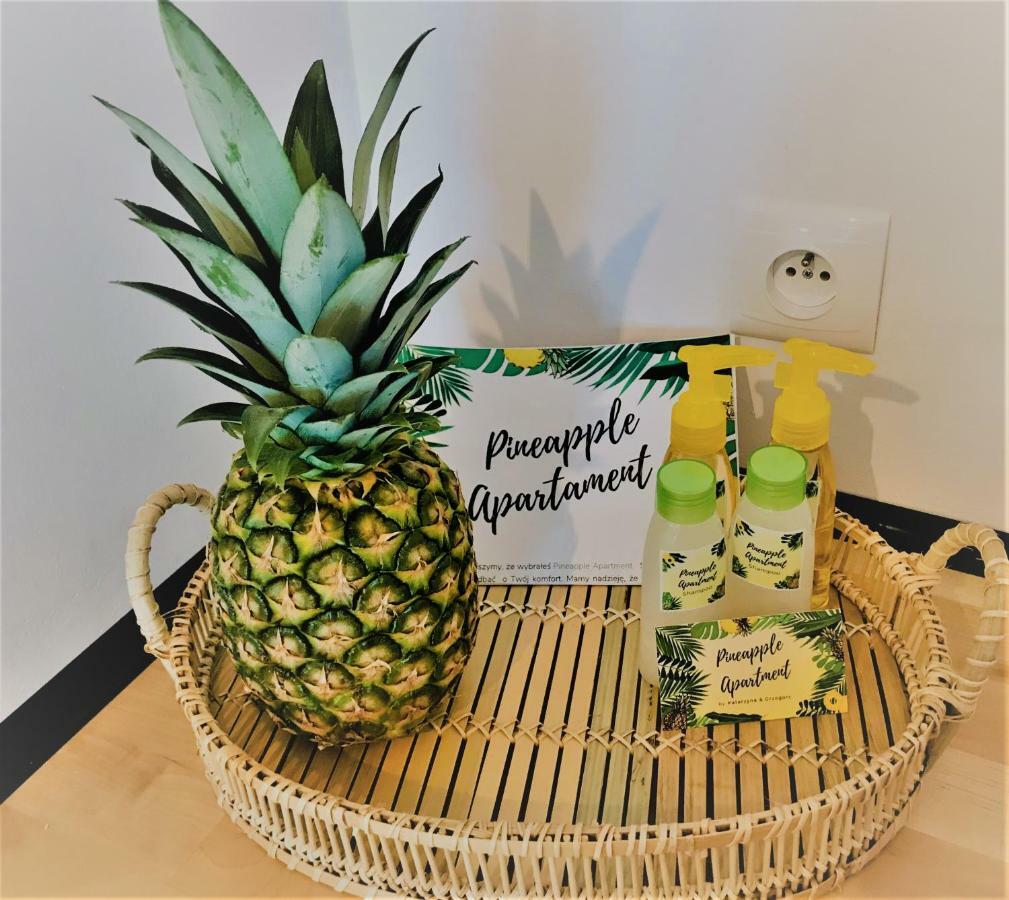 Pineapple Apartment Kolberg
